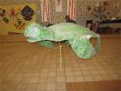 Cliquer pour agrandir